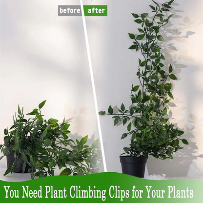 Plant Clips