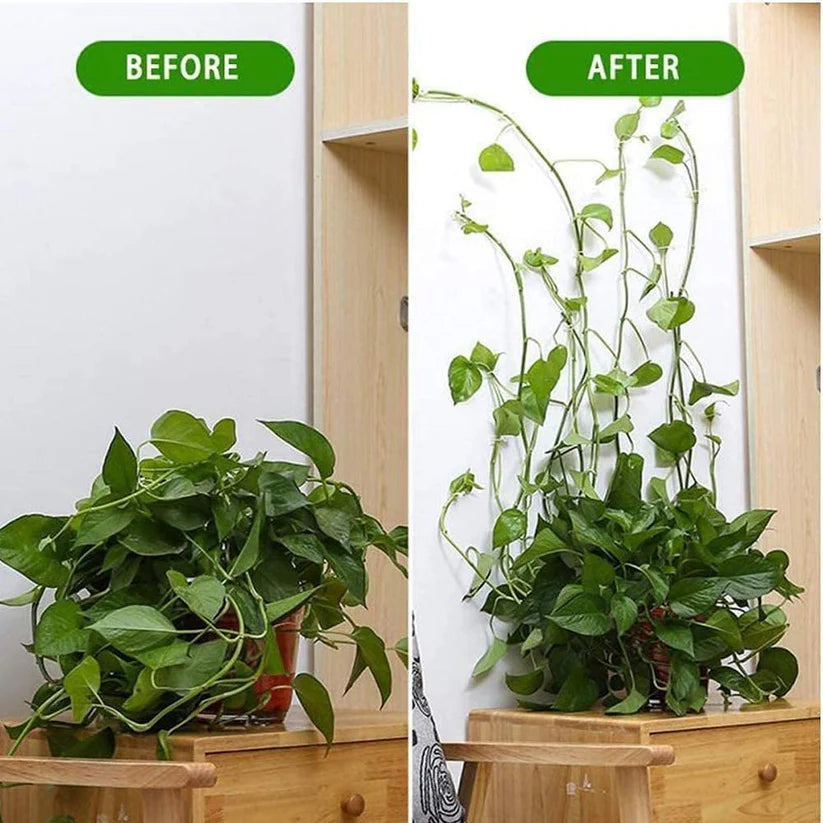 Plant Clips