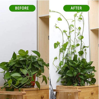 Plant Clips