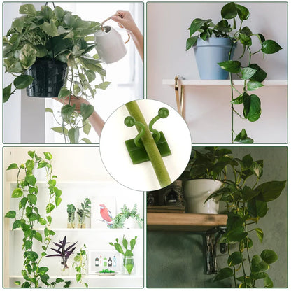 Plant Clips