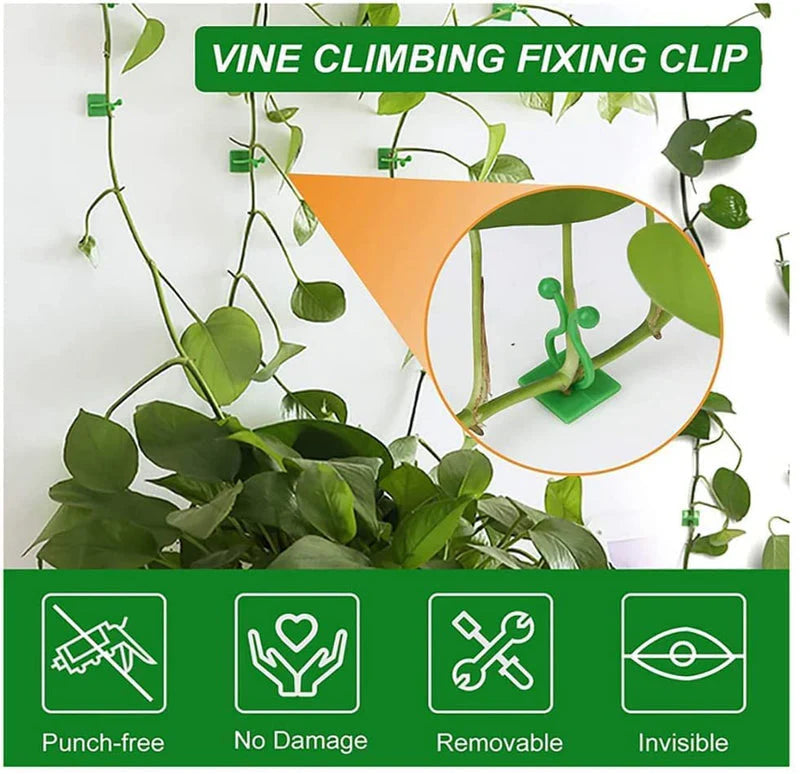 Plant Clips